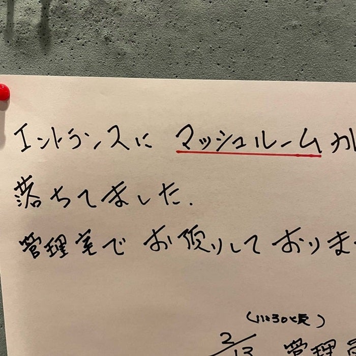 【写真・画像】 「まさかの」マンションの掲示板に貼りだされていた内容「あっ。私の」 　1枚目