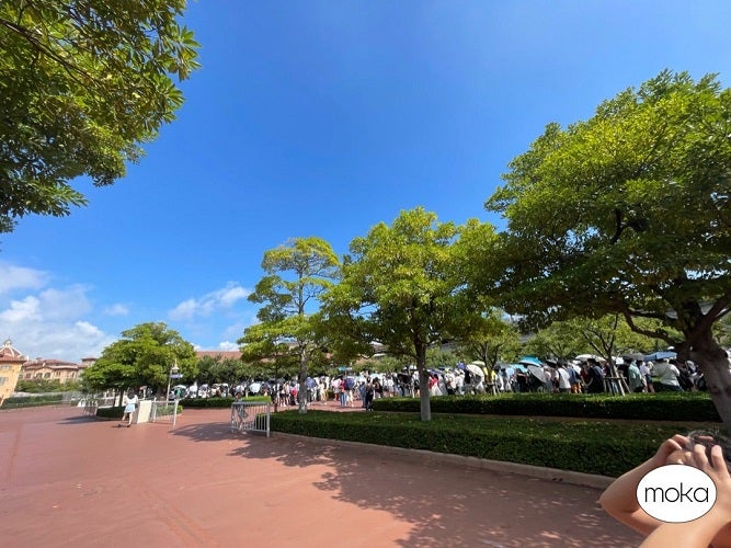  花田虎上の妻、開園前から大行列が出来ていたTDS「30分並んで中に入ることが出来ました」  1枚目